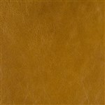 Belmont Dark Amber